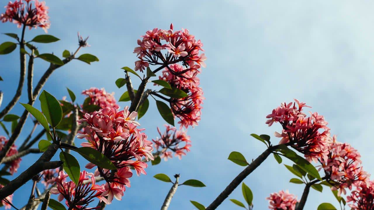 Strength training and HRV: why it drops (and how to recover faster)