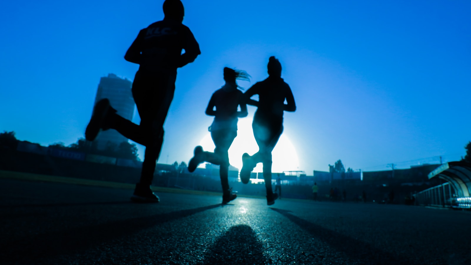 Zone 2 Training: Your Guide to Low Heart Rate Training for Endurance and Longevity