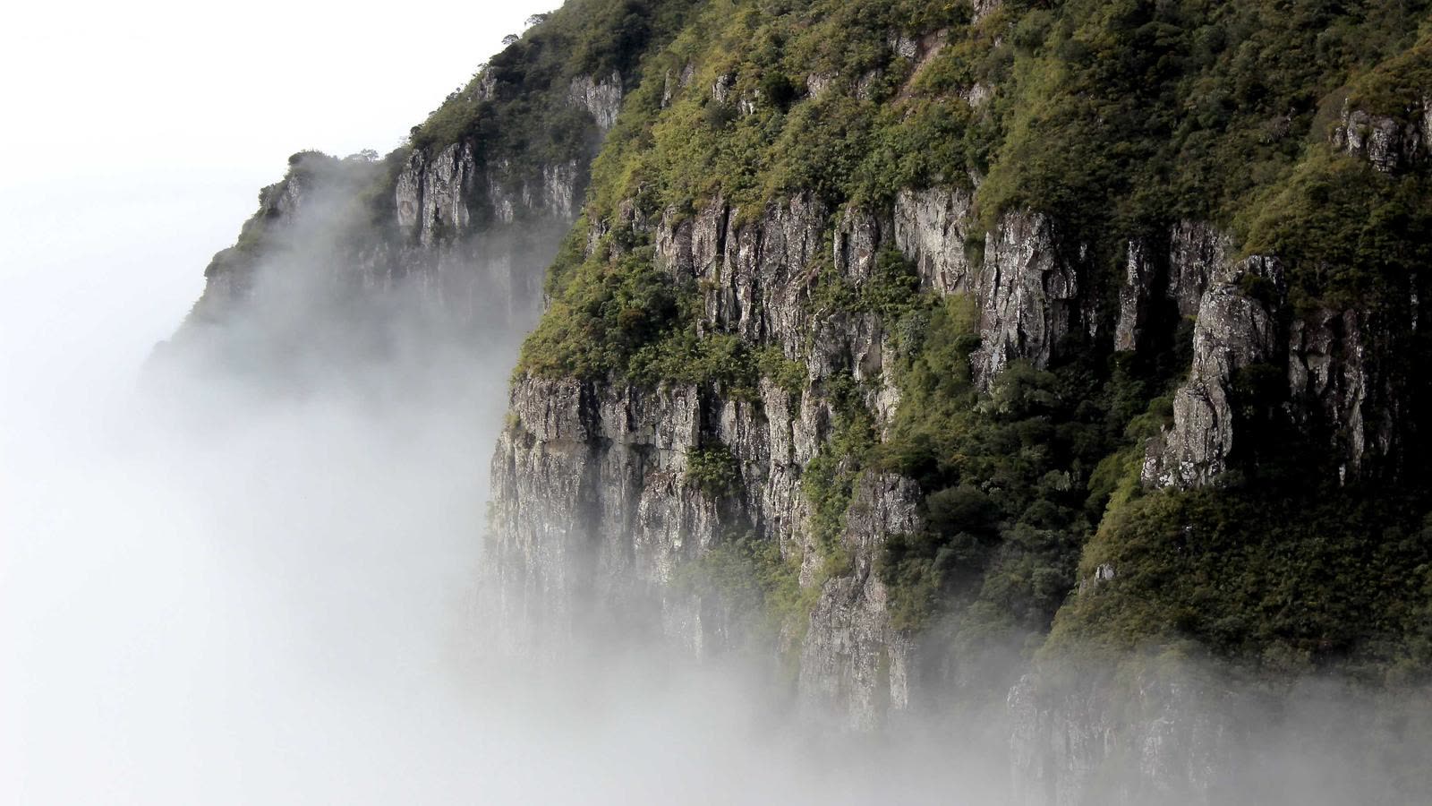 Apple Watch Training Load Explained: How to Use It Without Getting Injured