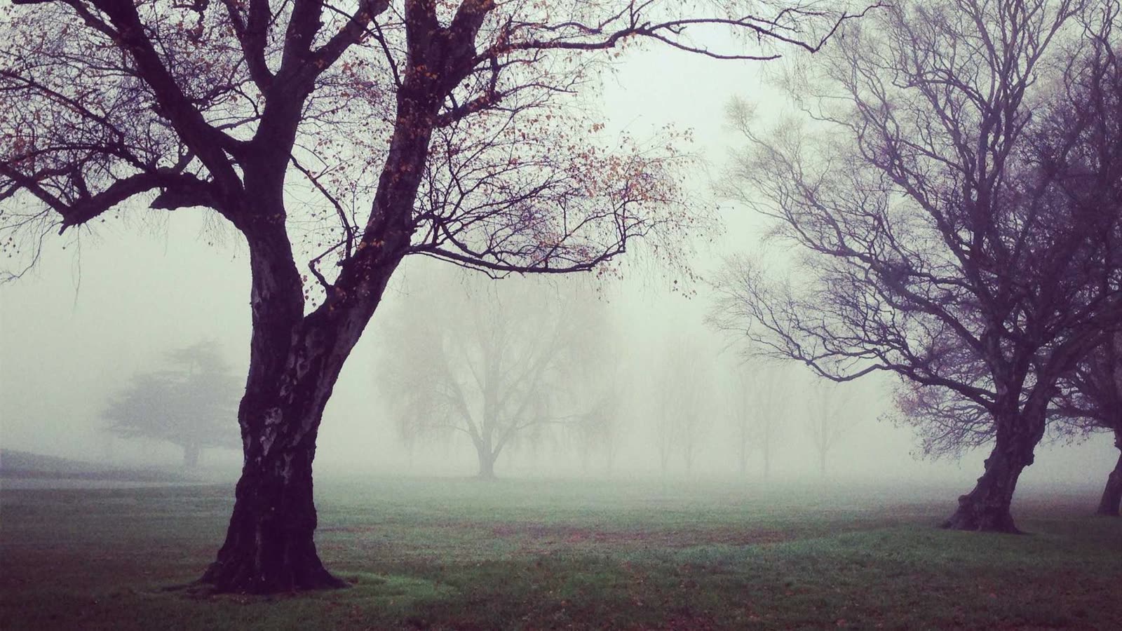 Caffeine cutoff: when to stop caffeine for better sleep