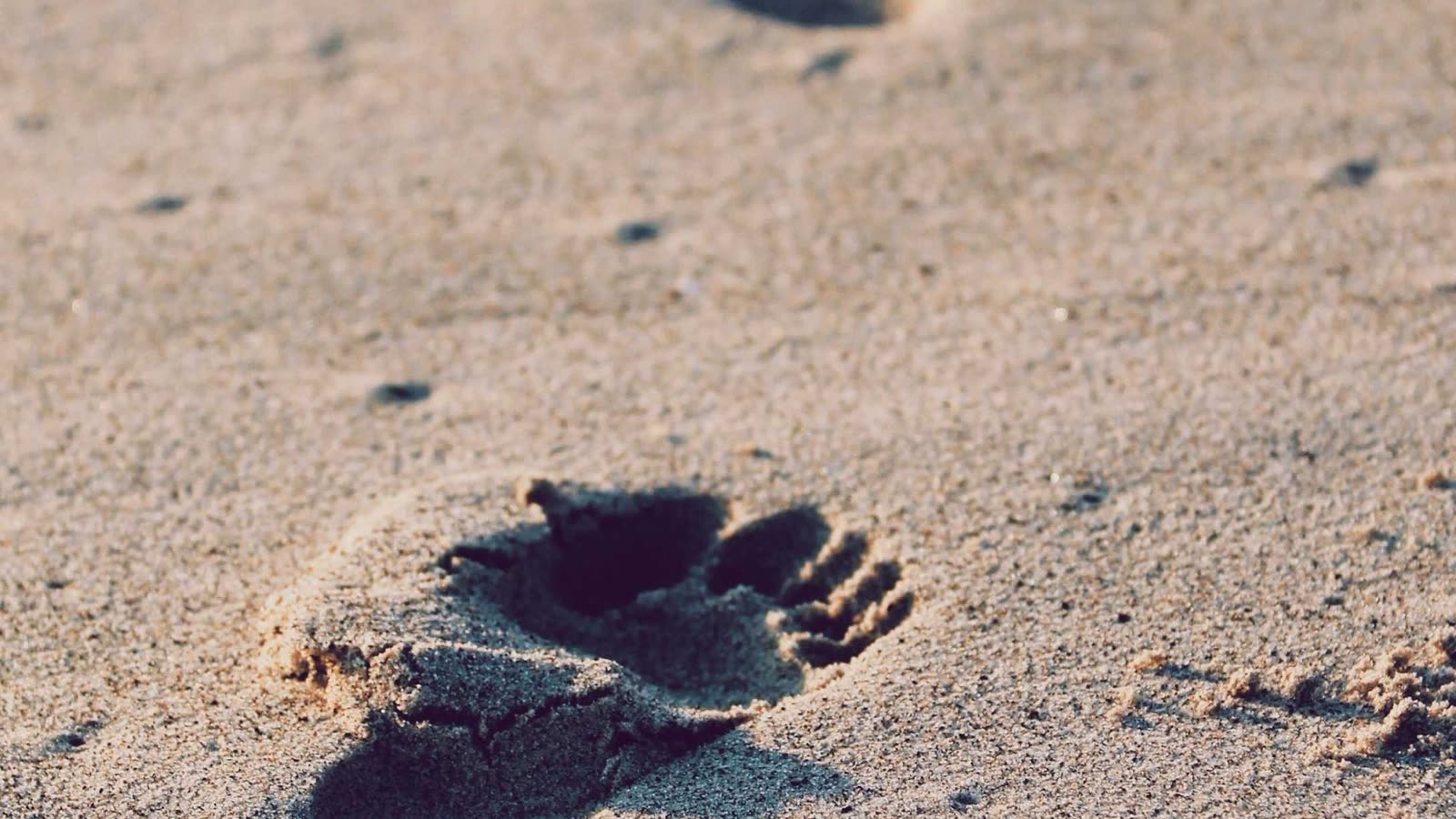 What Is HRV? Heart Rate Variability Meaning, Normal Range, and How to Improve It