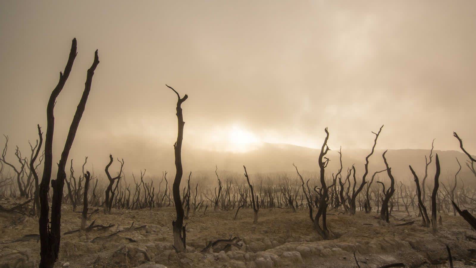 Zone 2 heart rate drift: the simplest way to know if you are actually in Zone 2